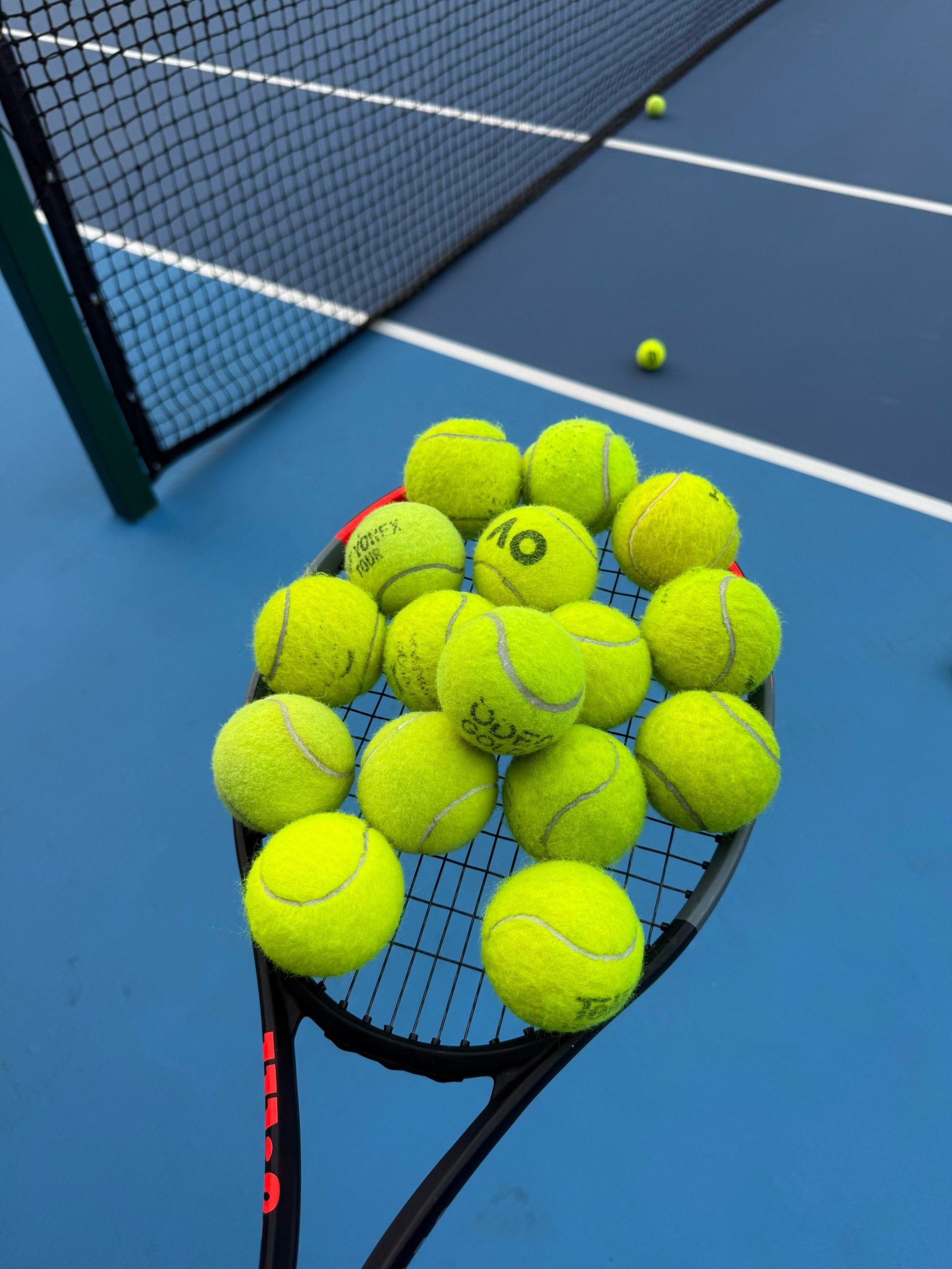 不懈努力与 不懈努力与